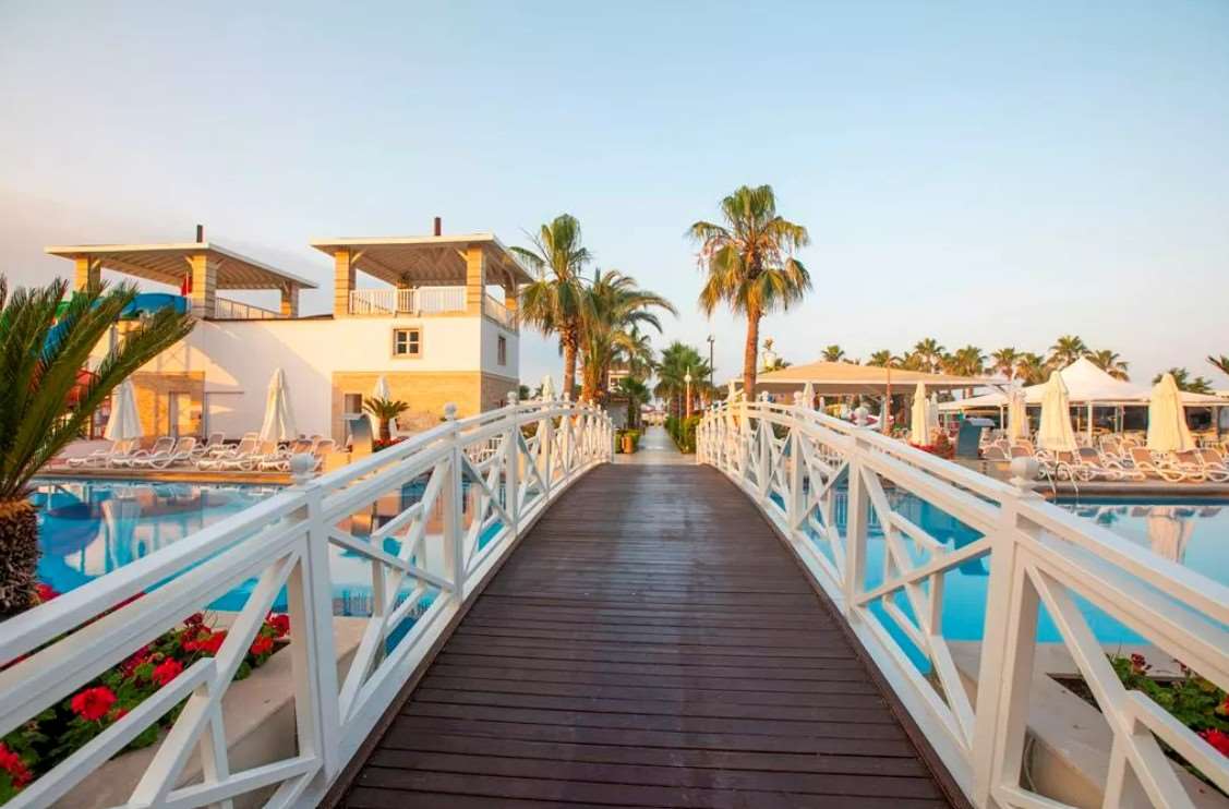 Pokaż wszystkie zdjęcia