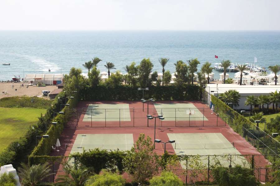 Pokaż wszystkie zdjęcia