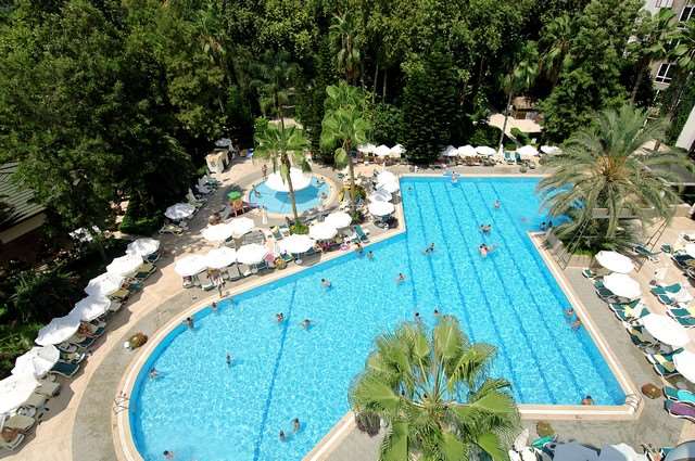 Pokaż wszystkie zdjęcia