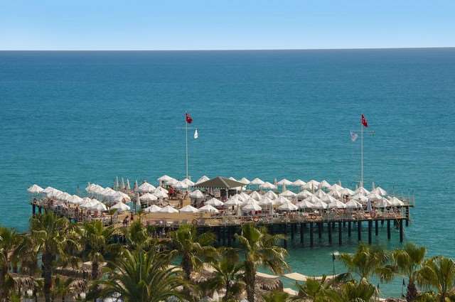 Pokaż wszystkie zdjęcia