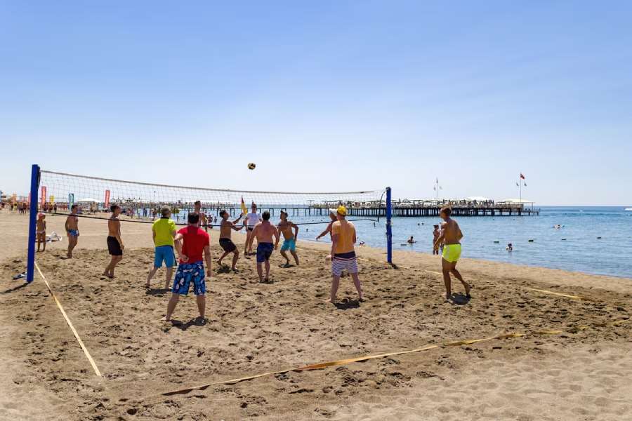 Pokaż wszystkie zdjęcia